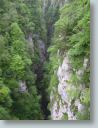 DSCN0850_2.jpg